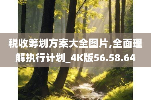 税收筹划方案大全图片,全面理解执行计划_4K版56.58.64