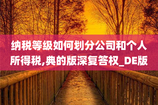 纳税等级如何划分公司和个人所得税,典的版深复答权_DE版