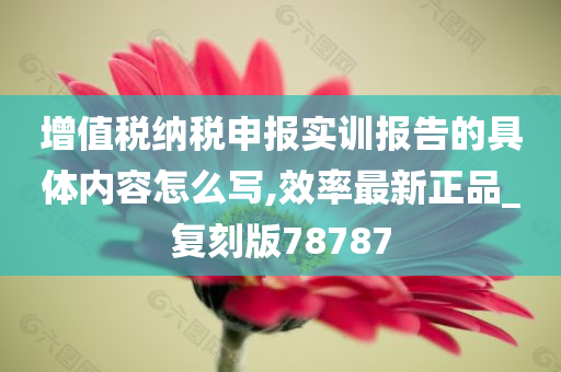 增值税纳税申报实训报告的具体内容怎么写,效率最新正品_复刻版78787