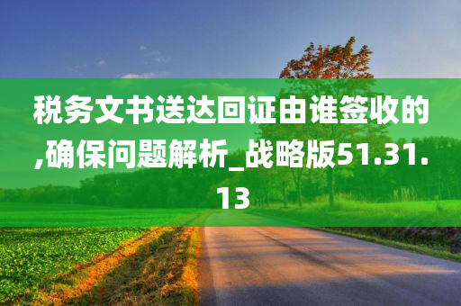 税务文书送达回证由谁签收的,确保问题解析_战略版51.31.13