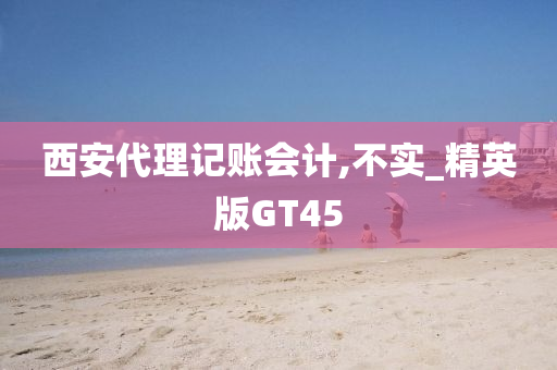 西安代理记账会计,不实_精英版GT45