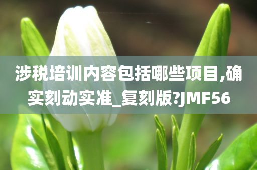 涉税培训内容包括哪些项目,确实刻动实准_复刻版?JMF56