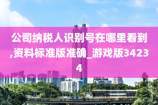 公司纳税人识别号在哪里看到,资料标准版准确_游戏版34234