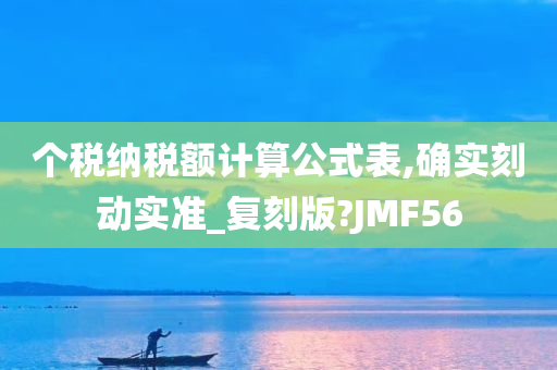 个税纳税额计算公式表,确实刻动实准_复刻版?JMF56