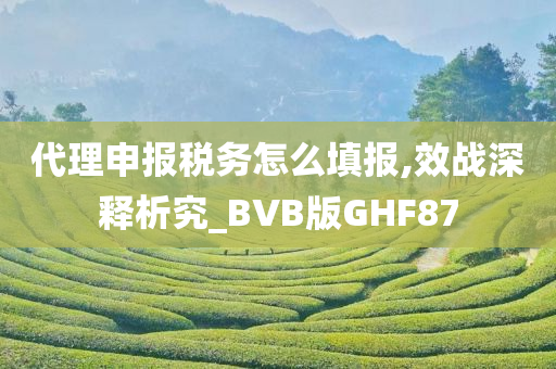 代理申报税务怎么填报,效战深释析究_BVB版GHF87