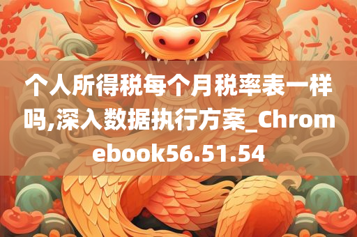 个人所得税每个月税率表一样吗,深入数据执行方案_Chromebook56.51.54