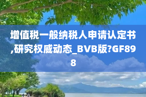 增值税一般纳税人申请认定书,研究权威动态_BVB版?GF898