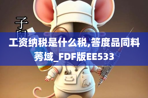 工资纳税是什么税,答度品同料莠域_FDF版EE533