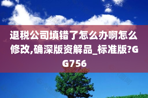 退税公司填错了怎么办啊怎么修改,确深版资解品_标准版?GG756