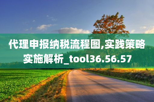 代理申报纳税流程图,实践策略实施解析_tool36.56.57