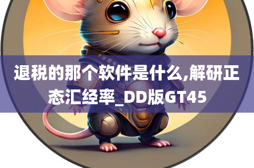 退税的那个软件是什么,解研正态汇经率_DD版GT45