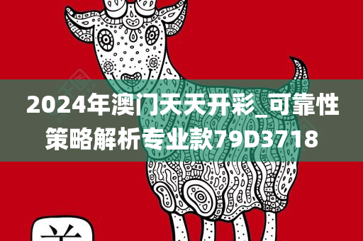 2024年澳门天天开彩_可靠性策略解析专业款79D3718