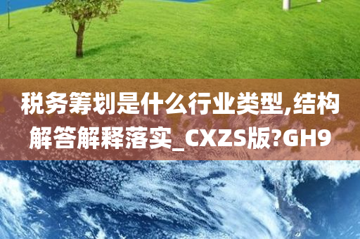 税务筹划是什么行业类型,结构解答解释落实_CXZS版?GH9