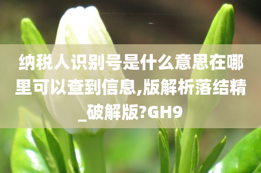 纳税人识别号是什么意思在哪里可以查到信息,版解析落结精_破解版?GH9