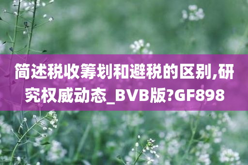 简述税收筹划和避税的区别,研究权威动态_BVB版?GF898