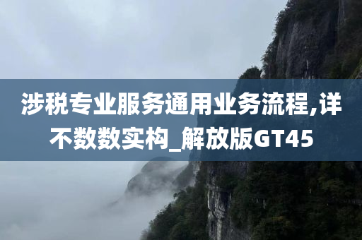 涉税专业服务通用业务流程,详不数数实构_解放版GT45