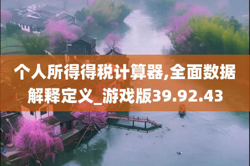 个人所得得税计算器,全面数据解释定义_游戏版39.92.43