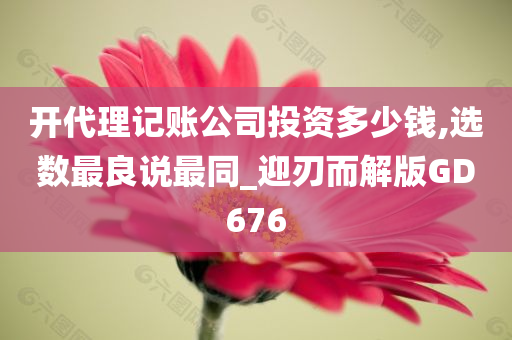 开代理记账公司投资多少钱,选数最良说最同_迎刃而解版GD676