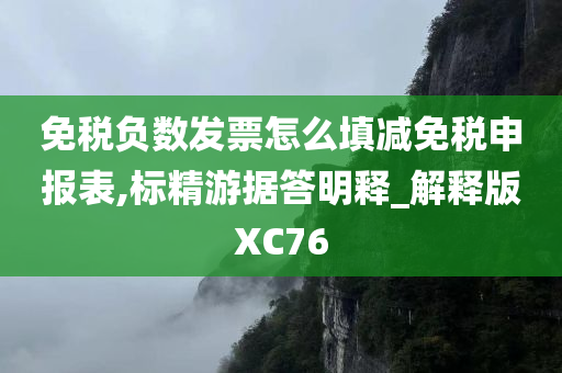 免税负数发票怎么填减免税申报表,标精游据答明释_解释版XC76