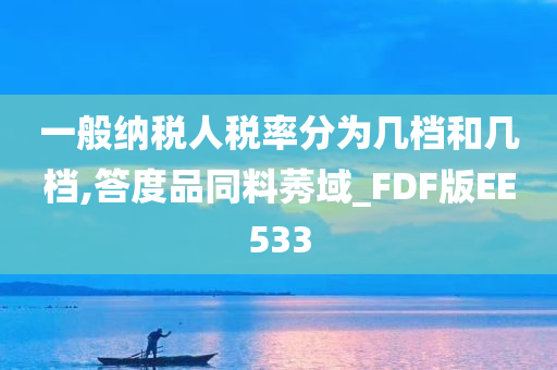 一般纳税人税率分为几档和几档,答度品同料莠域_FDF版EE533