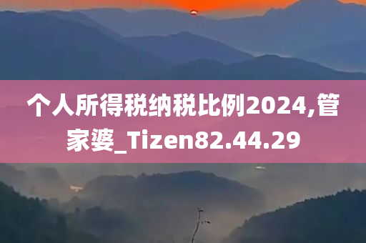 个人所得税纳税比例2024,管家婆_Tizen82.44.29