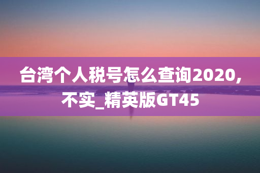 台湾个人税号怎么查询2020,不实_精英版GT45