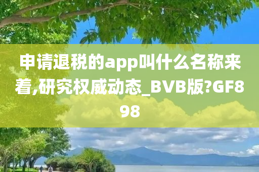 申请退税的app叫什么名称来着,研究权威动态_BVB版?GF898