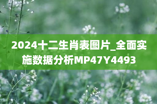 2024十二生肖表图片_全面实施数据分析MP47Y4493