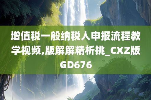 增值税一般纳税人申报流程教学视频,版解解精析挑_CXZ版GD676