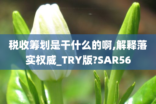 税收筹划是干什么的啊,解释落实权威_TRY版?SAR56