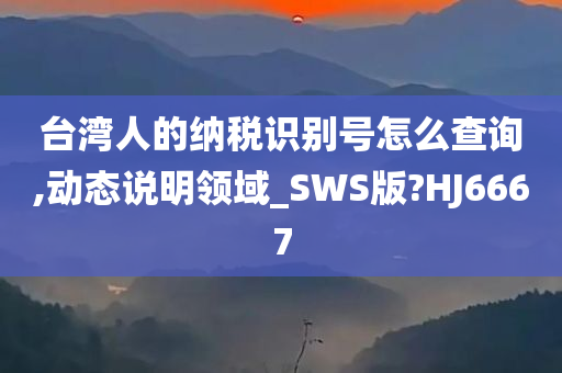 台湾人的纳税识别号怎么查询,动态说明领域_SWS版?HJ6667