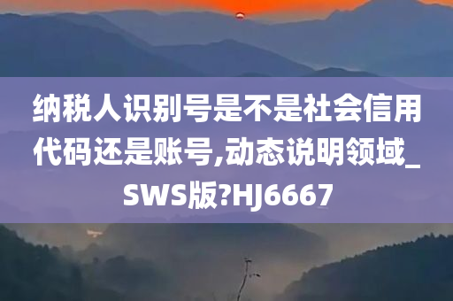 纳税人识别号是不是社会信用代码还是账号,动态说明领域_SWS版?HJ6667