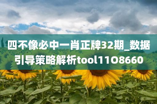 四不像必中一肖正牌32期_数据引导策略解析tool11O8660