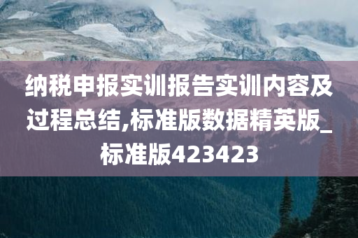 纳税申报实训报告实训内容及过程总结,标准版数据精英版_标准版423423