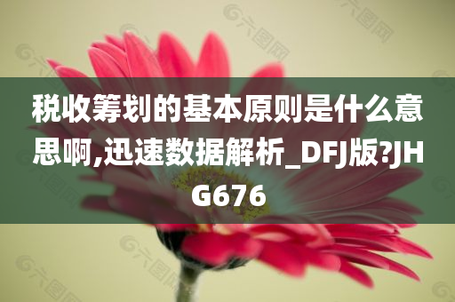 税收筹划的基本原则是什么意思啊,迅速数据解析_DFJ版?JHG676