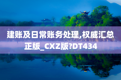 建账及日常账务处理,权威汇总正版_CXZ版?DT434