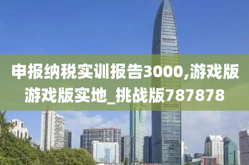 申报纳税实训报告3000,游戏版游戏版实地_挑战版787878