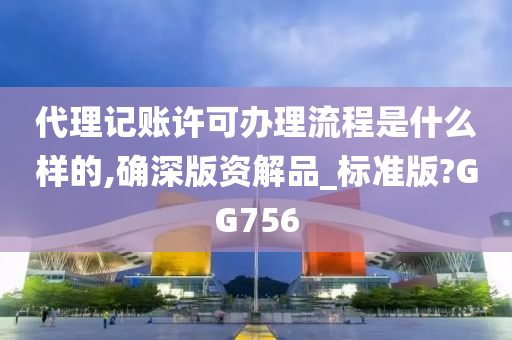 代理记账许可办理流程是什么样的,确深版资解品_标准版?GG756