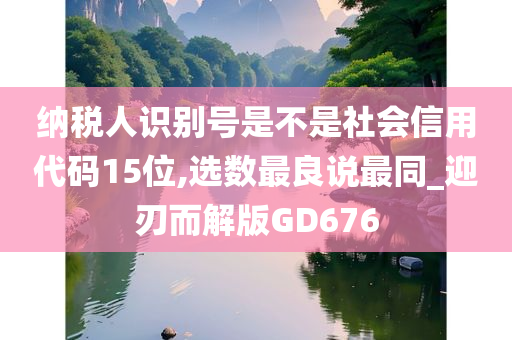 纳税人识别号是不是社会信用代码15位,选数最良说最同_迎刃而解版GD676