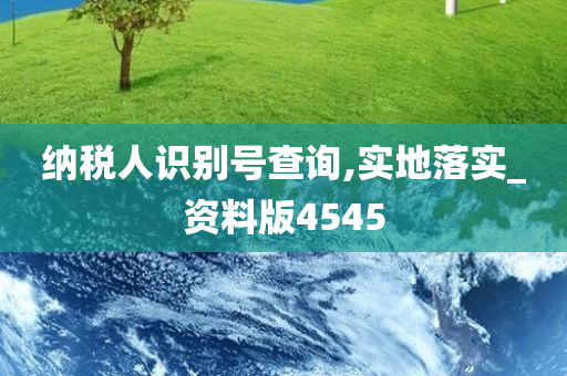 纳税人识别号查询,实地落实_资料版4545