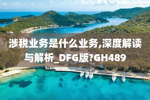 涉税业务是什么业务,深度解读与解析_DFG版?GH489