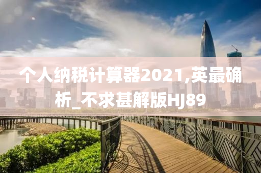 个人纳税计算器2021,英最确析_不求甚解版HJ89