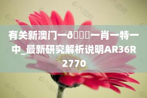 有关新澳门一🐎一肖一特一中_最新研究解析说明AR36R2770