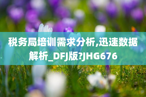 税务局培训需求分析,迅速数据解析_DFJ版?JHG676