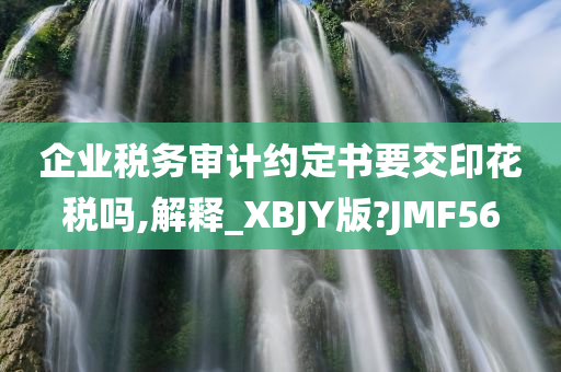 企业税务审计约定书要交印花税吗,解释_XBJY版?JMF56