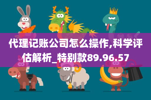 代理记账公司怎么操作,科学评估解析_特别款89.96.57