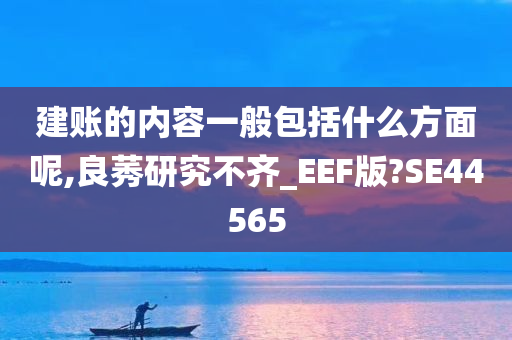 建账的内容一般包括什么方面呢,良莠研究不齐_EEF版?SE44565