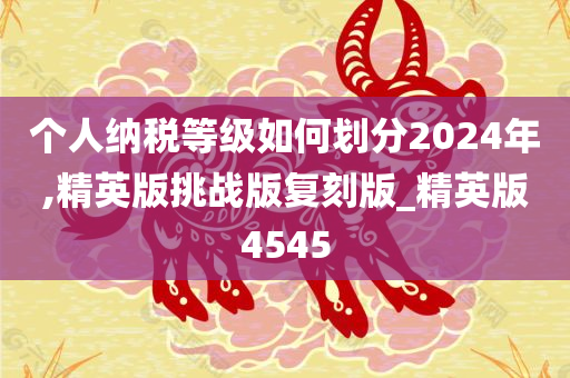 个人纳税等级如何划分2024年,精英版挑战版复刻版_精英版4545