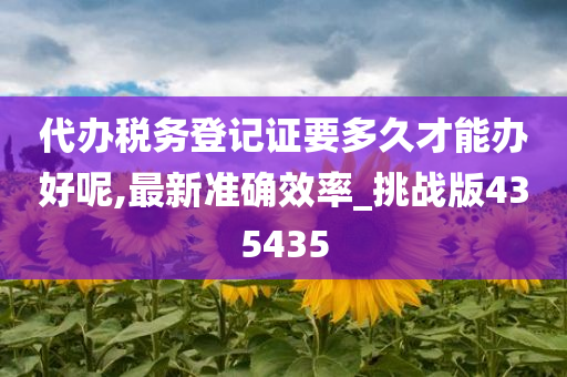 代办税务登记证要多久才能办好呢,最新准确效率_挑战版435435