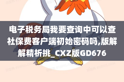 电子税务局我要查询中可以查社保费客户端初始密码吗,版解解精析挑_CXZ版GD676